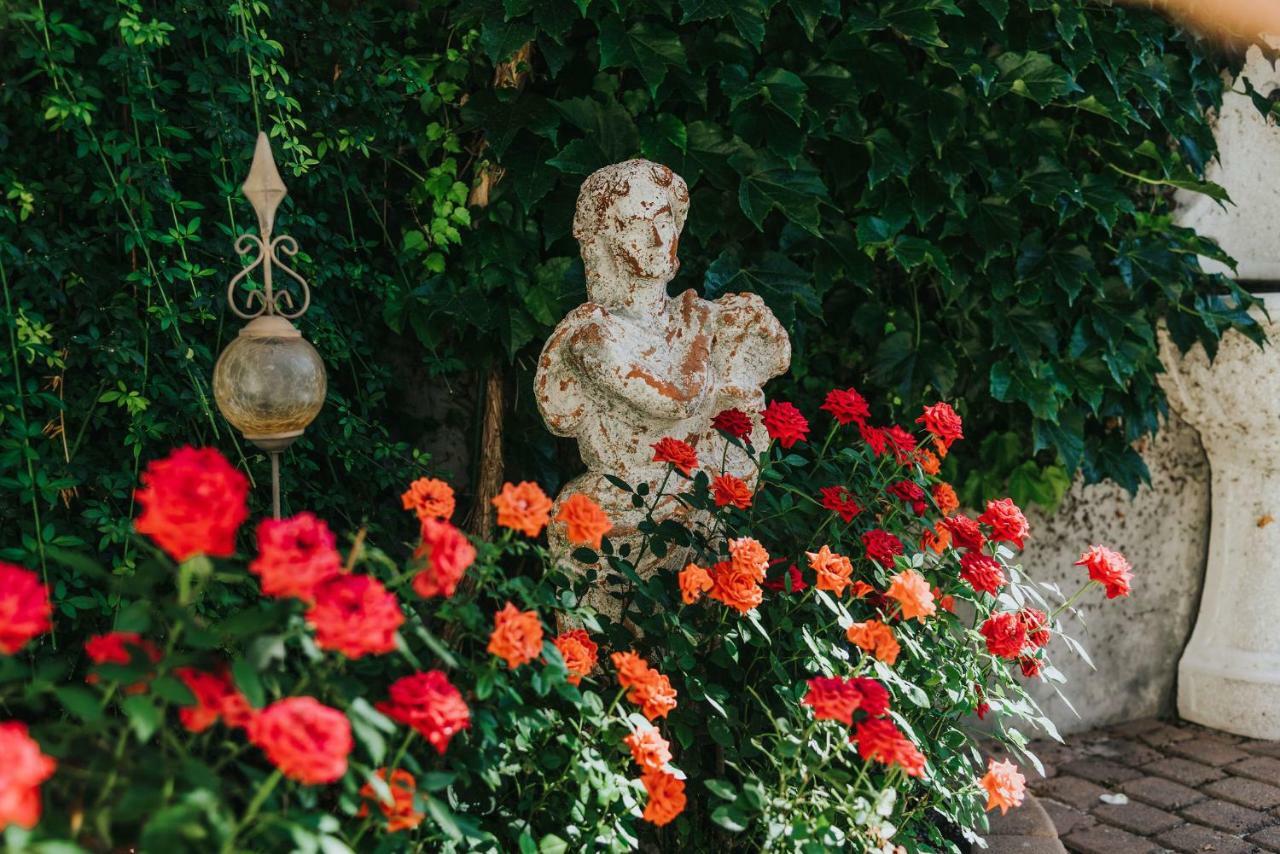 Apartmaji Urska Lasko Bagian luar foto